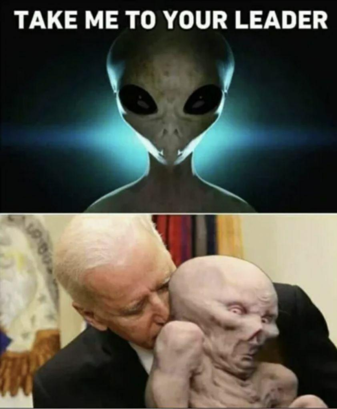 1699177276326.png