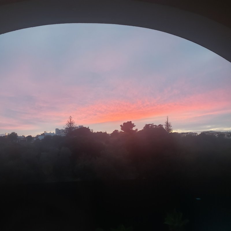 17097506425492909861167880960547.jpg