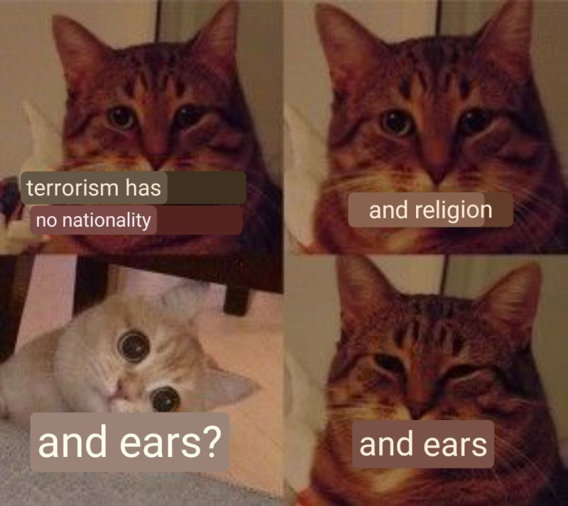 1711321260918.png