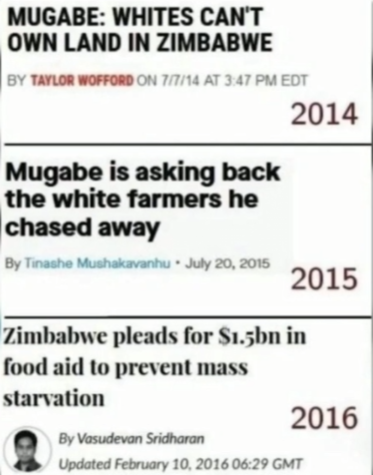 1747250976959.png