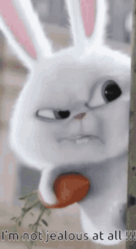1784384495287.png