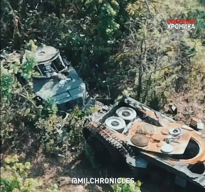6hoy52kdfohb1.jpg
