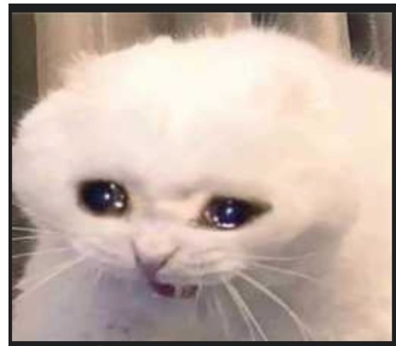 CAT.PNG