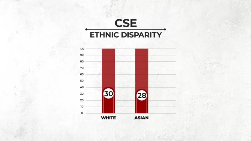 ethnic disparity.jpg