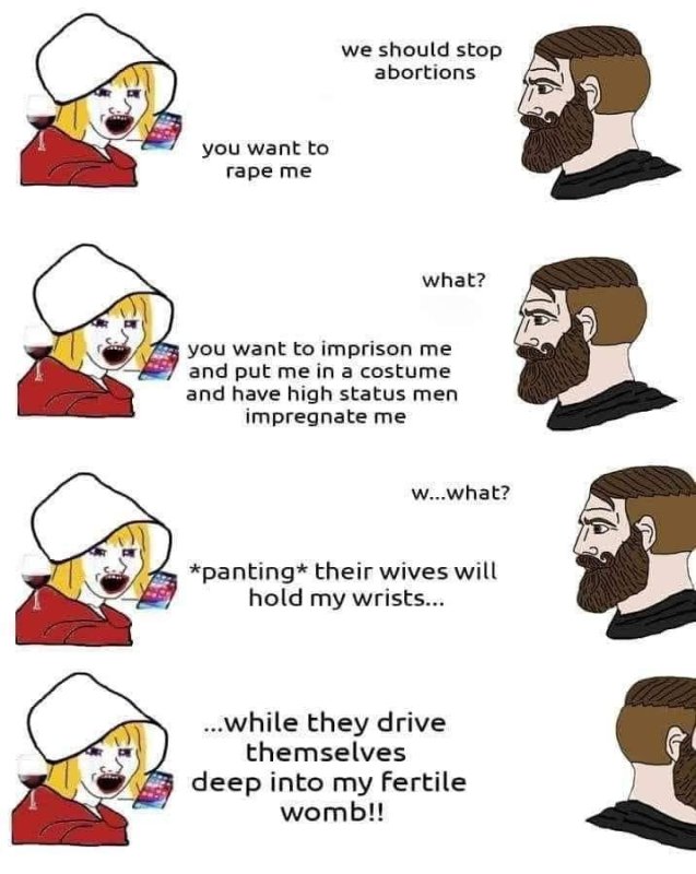 handmaid's tale.jpg