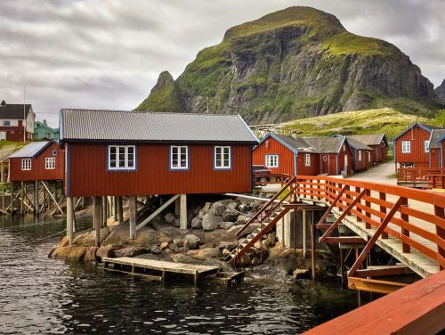 house-on-stilts-hs2018-06-20-at-10.37.jpg