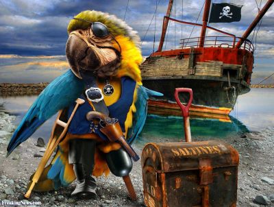 Pirate-Parrot-with-Treasure-47346-1721222930.jpg