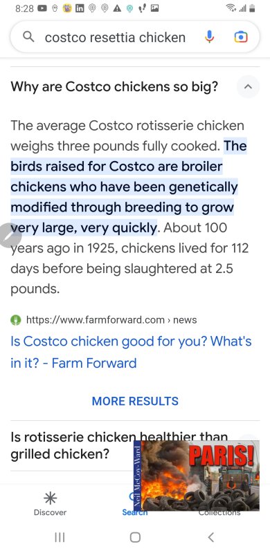 Screenshot_20240201-202852_Google.jpg