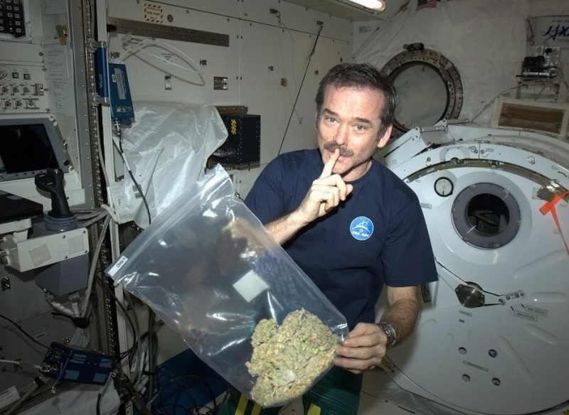 Weed on ISS.png