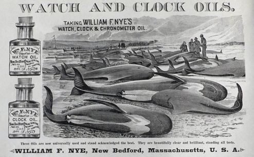 whale-oil-1235899610.jpg