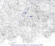 Westmeath Sarsfields 1829 jpg.jpg