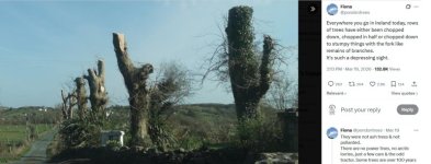 trees.jpg