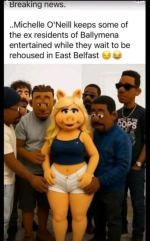1781726289584.png