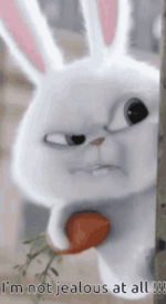 1784384495287.png